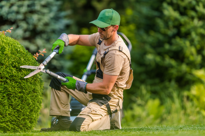 How to Maintain a Healthy and Beautiful Lawn Year-Round
